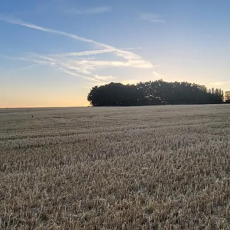 Maison d'hôtes De La Roulotte De L'epine