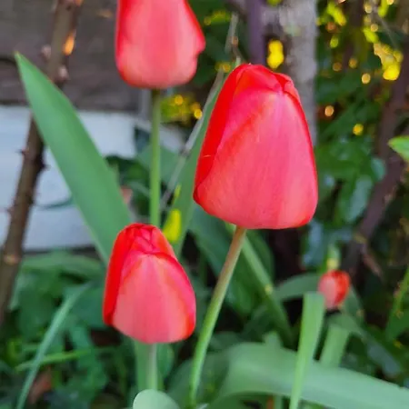 De La Roulotte De L'epine Maison d'hôtes