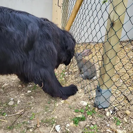 De La Roulotte De L'epine 3*