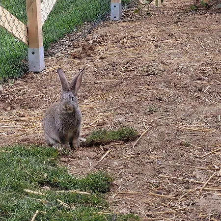 De La Roulotte De L'epine Maison d'hôtes 3*