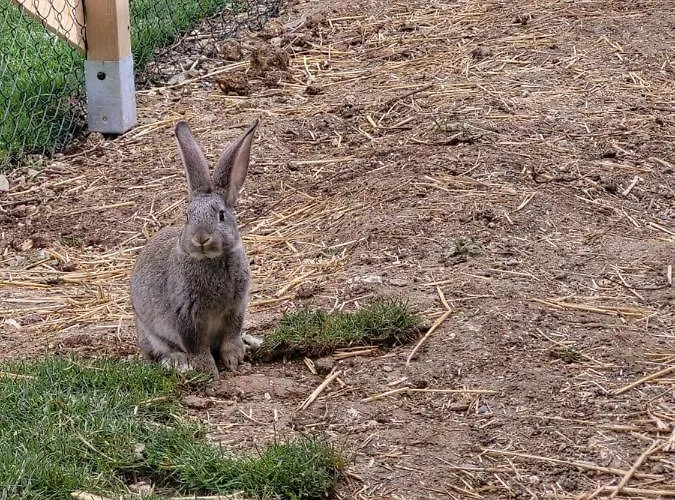 De La Roulotte De L'epine Maison d'hôtes 3*