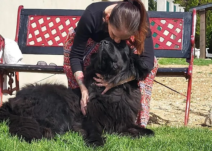 De La Roulotte De L'epine Maison d'hôtes Dallon